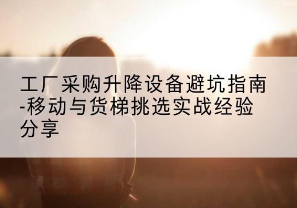 港口移动式升降机怎么选-工厂采购升降设备避坑指南-移动与货梯挑选实战经验分享