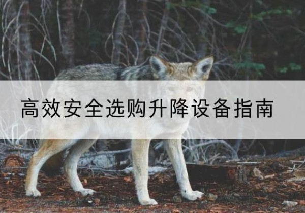 港口升降货梯厂家推荐-*安全选购升降设备指南