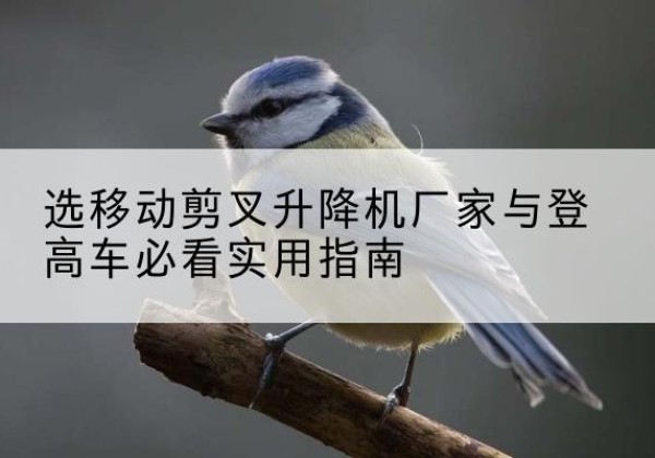 港口电动升降机厂家-选移动剪叉升降机厂家与登高车必看实用指南