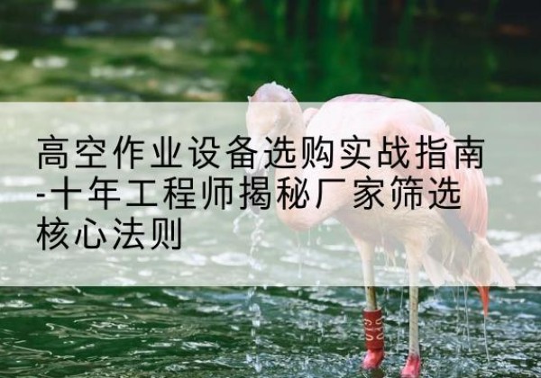 港口剪叉式升降机厂家-高空作业设备选购实战指南-十年工程师揭秘厂家筛选核心法则